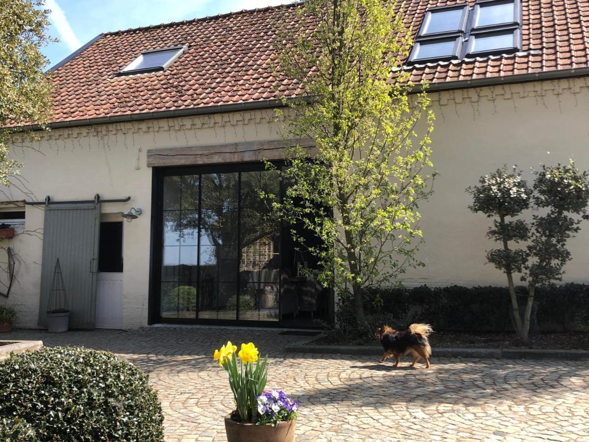 Welness Gastenverblijf Carpe Diem Opglabbeek Exteriér fotografie